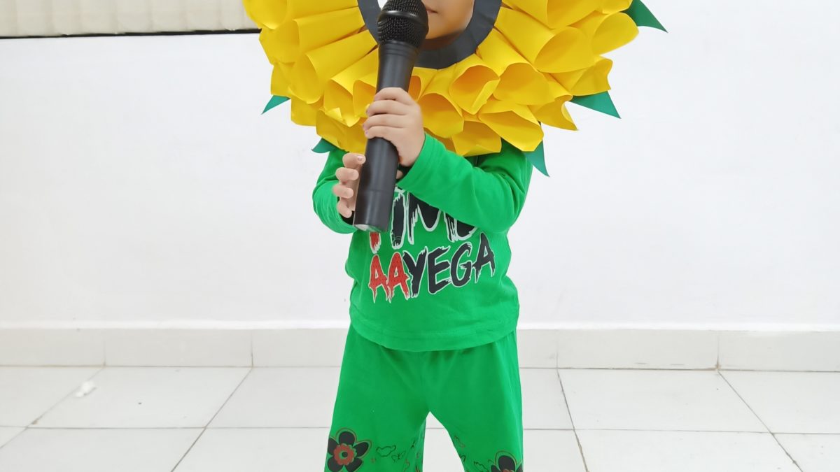 Fancy dress for lkg students discount